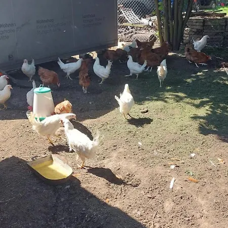 Maja Z Widokiem (adults Only) Κατάλυμα σε φάρμα Mirsk