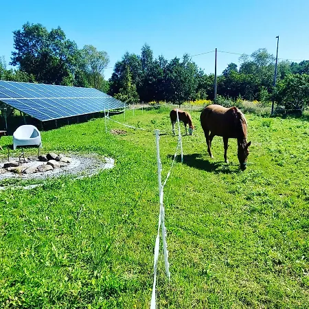 팜스테이 Maja Z Widokiem (adults Only)