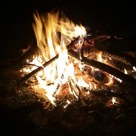 Maja Z Widokiem (adults Only) Κατάλυμα σε φάρμα