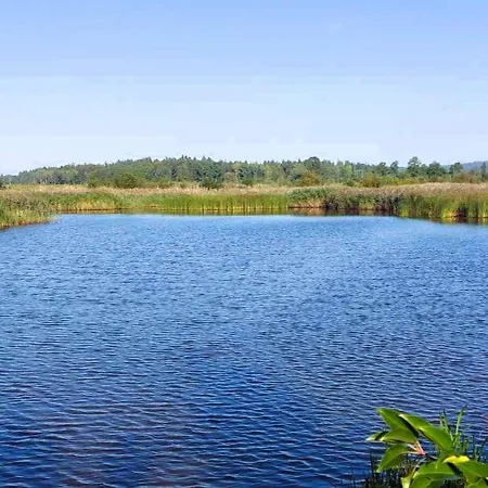 Maja Z Widokiem (adults Only) 팜스테이 *