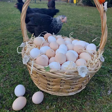 Maja Z Widokiem (adults Only) *