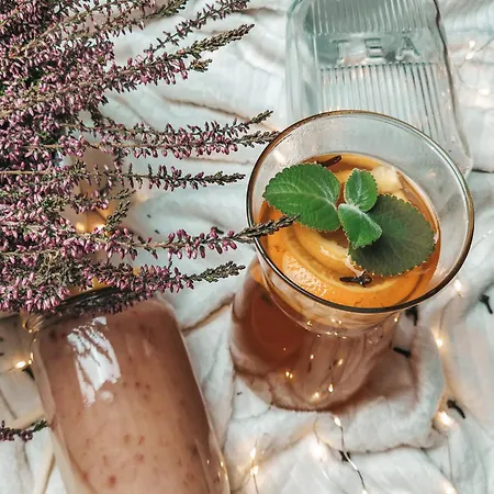 Maja Z Widokiem Kameralna Na Pogorzu Izerskim Z Sauna I Jacuzzi (adults Only)