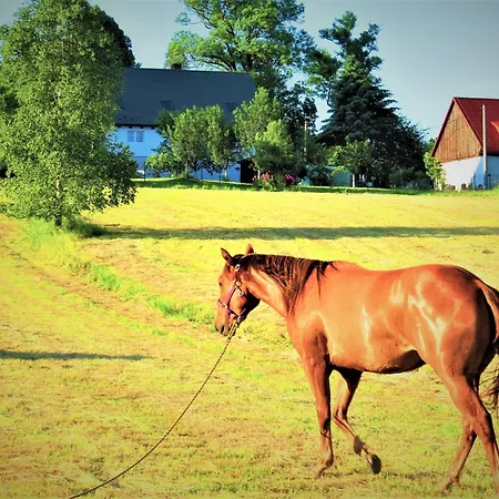 Farm stay Maja Z Widokiem (adults Only) *