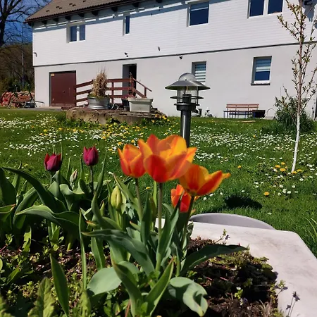 Maja Z Widokiem (adults Only) Farm stay Mirsk