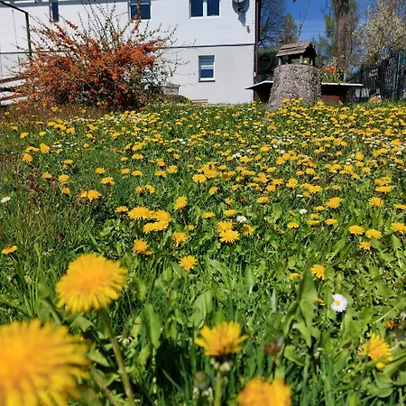 Maja Z Widokiem (adults Only) Farm stay Mirsk