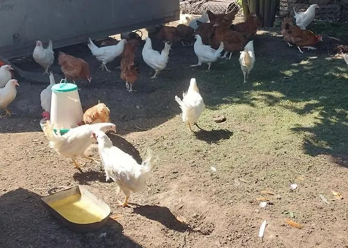 Maja Z Widokiem (adults Only) مزرعة للإقامة Mirsk