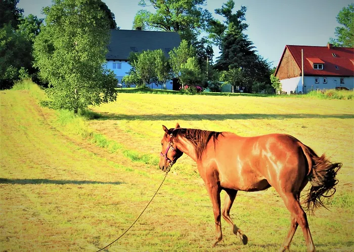 مزرعة للإقامة Maja Z Widokiem (adults Only) *